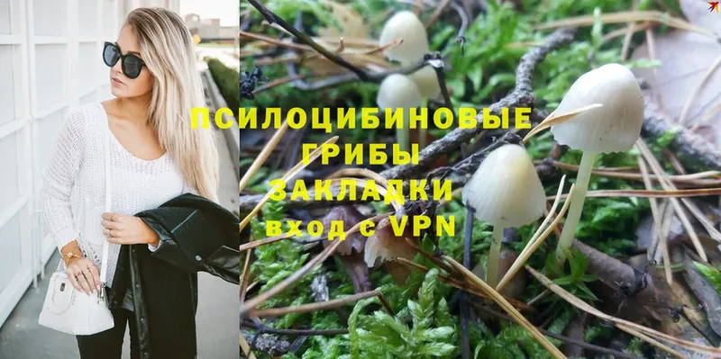 сайты даркнета телеграм  Череповец  Галлюциногенные грибы MAGIC MUSHROOMS 