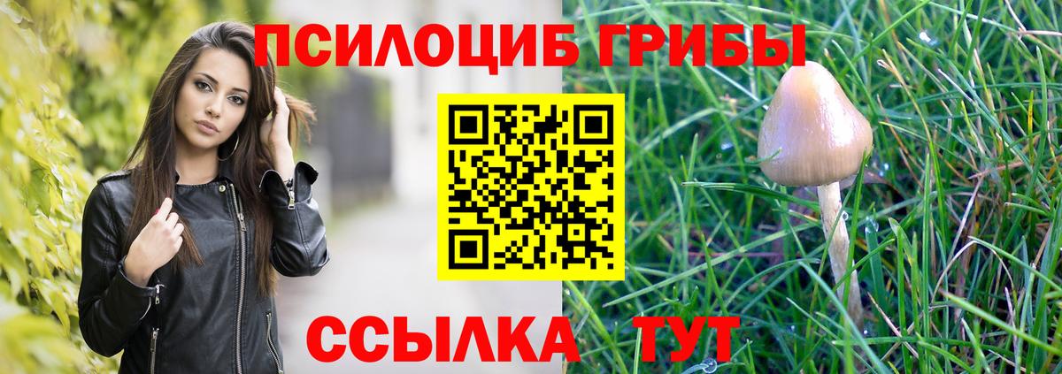 Галлюциногенные грибы мухоморы Череповец