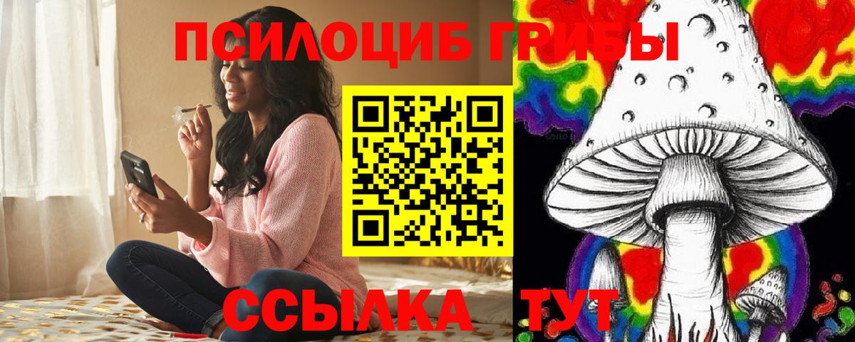 Череповец  Псилоцибиновые грибы мухоморы  Вход с VPN 