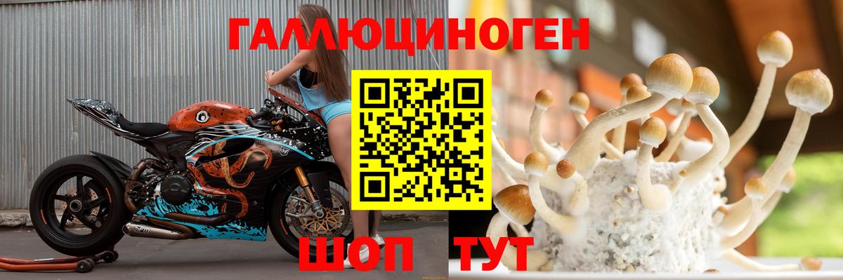 Псилоцибиновые грибы GOLDEN TEACHER  Череповец 